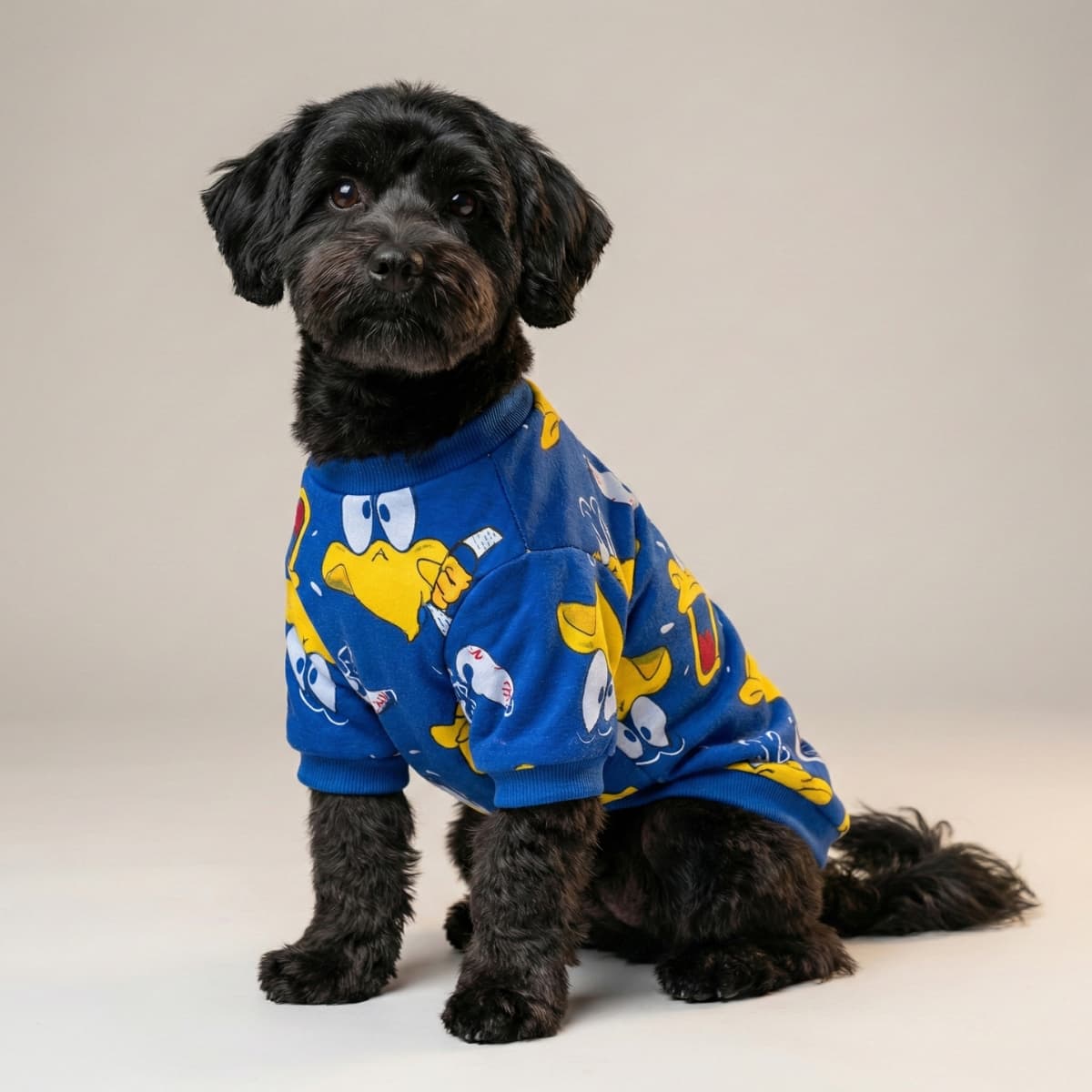 Catálogo Mayorista Lucky Pet 5