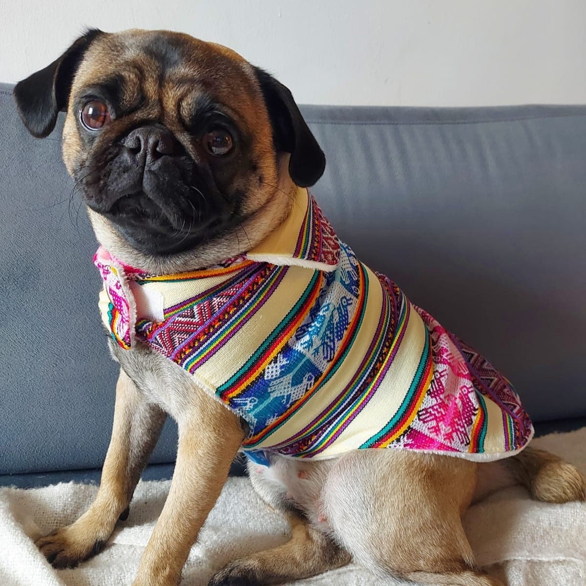 Catálogo Mayorista Lucky Pet 7