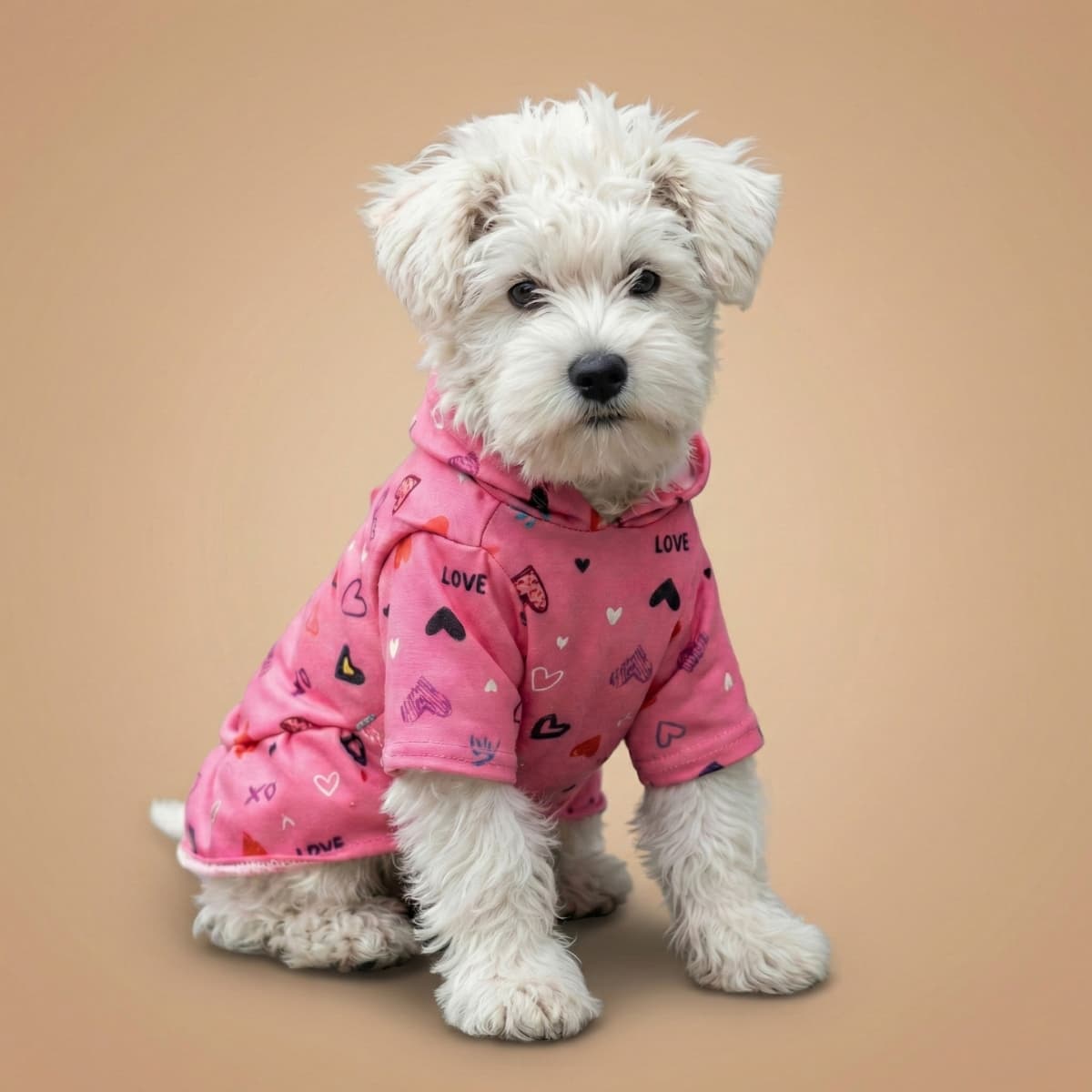 Cliente Feliz Lucky Pet 2