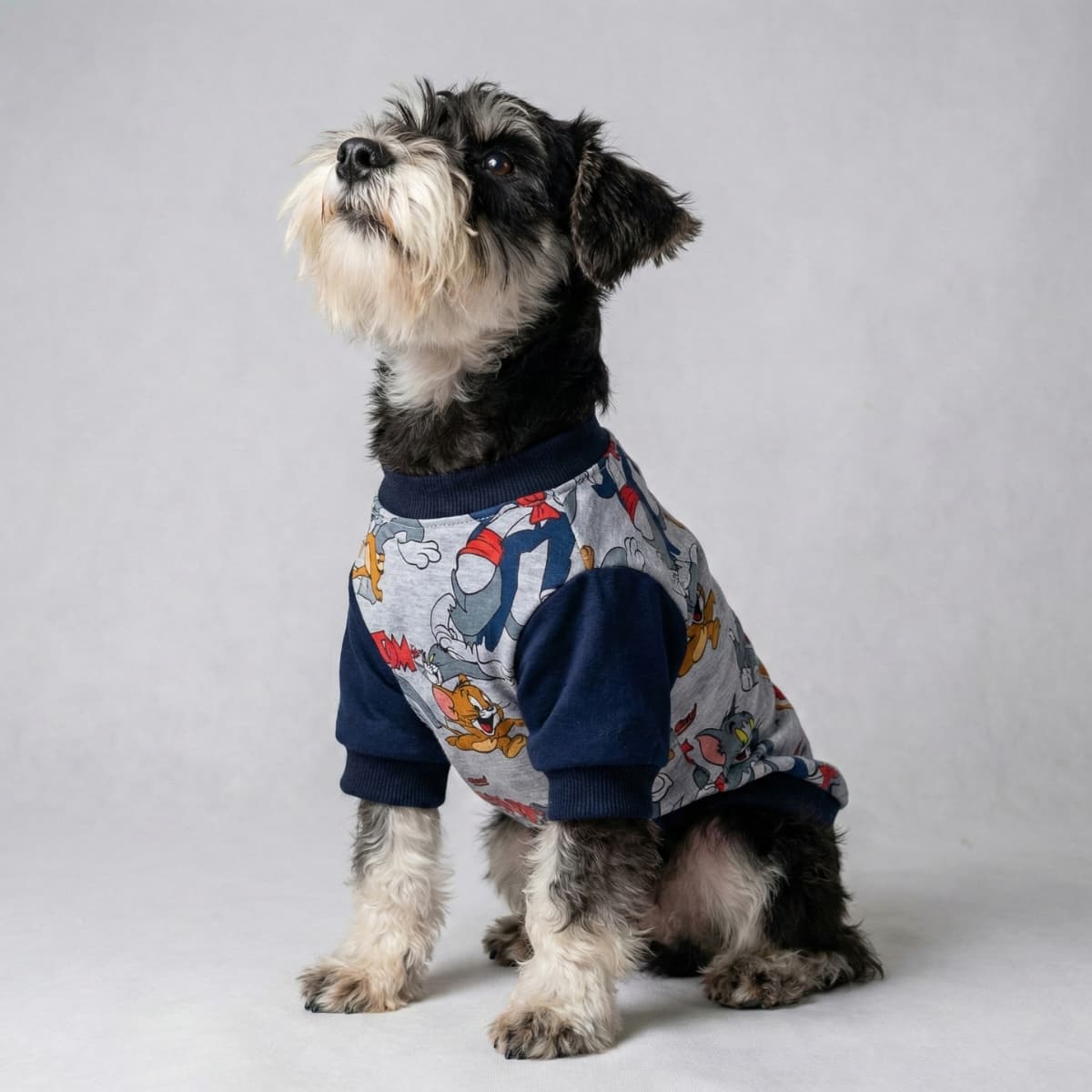 Cliente Feliz Lucky Pet 5