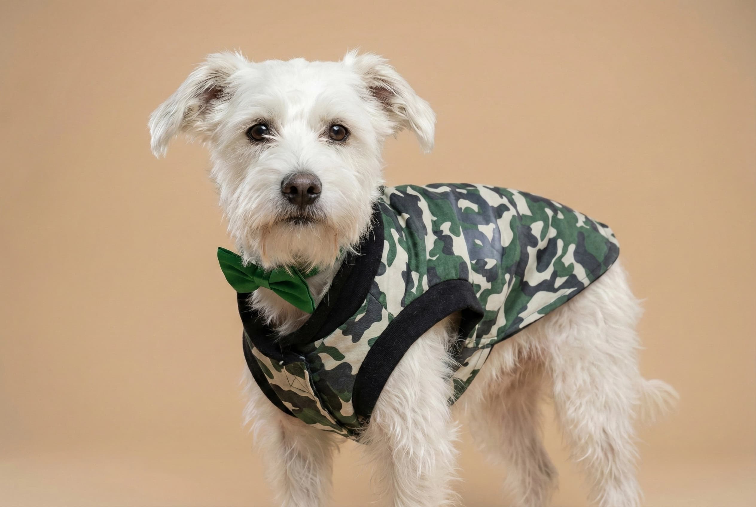 Lucky, nuestra inspiración